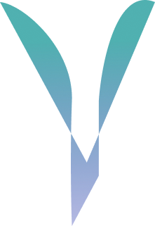 Yobin Kumar Pun | Designer & Web Developer